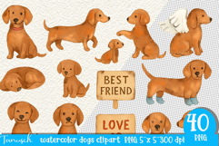 Watercolor dachshund Dogs clipart set Product Image 4
