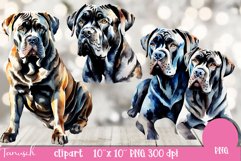 watercolor CANE CORSO Dog sublimation clipart PNG Product Image 4