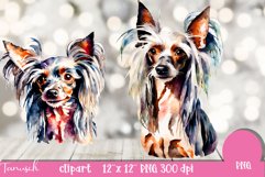 watercolor Chinese Crested clipart Dog sublimation PNG Product Image 4