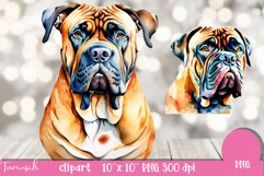 watercolor BULLMASTIFF Dog sublimation clipart PNG Product Image 4