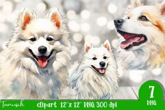 watercolor american eskimo sublimation clipart Product Image 4