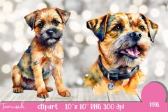watercolor Border Terrier Dog sublimation clipart PNG Product Image 4