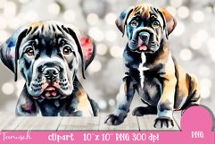 watercolor CANE CORSO Dog sublimation clipart PNG Product Image 5
