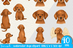 Watercolor dachshund Dogs clipart set Product Image 5