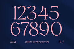 Voyers Magicra - Elegant Serif Font Product Image 9