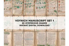 The Voynich Manuscript Set 1: 80 Codex Images Product Image 1