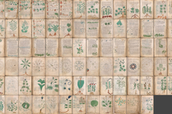 The Voynich Manuscript Set 1: 80 Codex Images Product Image 2