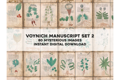 The Voynich Manuscript Set 2: 80 Undecipherable Images Product Image 1