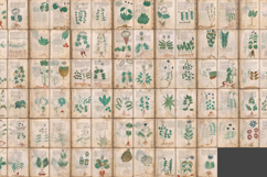 The Voynich Manuscript Set 2: 80 Undecipherable Images Product Image 2