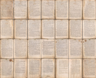 The Voynich Manuscript Set 3: 28 Undecipherable Images Product Image 2