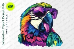 Colorful Parrot Wearing Sunglasses Clipart Png Product Image 1