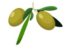 Green olives with leaves. Cartoon fresh berry on branch Product Image 1