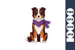 Australian Shepherd dog wearing purple scarf sitting cute ve Product Image 1