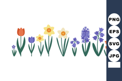 Spring flowers vector illustration with tulip daffodil hyaci Product Image 1