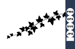 Ivy vine silhouette vector with black leaves on white backgr Product Image 1