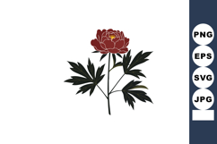 Red Peony Flower Vector with Dark Green Leaves Elegant Flora Product Image 1
