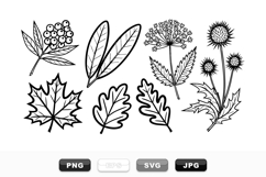 Wild Botanical Clipart Set with Leaves and Thistle Product Image 1