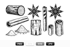 Hand Drawn Cinnamon Spice Botanical Clipart Set Product Image 1