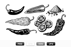 Vintage Hand Drawn Chili Pepper Illustration Set Product Image 1