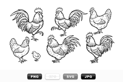 Hand Drawn Rooster and Chicken Vector Set Bundle Product Image 1