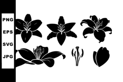 Black silhouette lily flower vector set with isolated floral Product Image 1