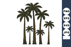 Palm trees vector set with detailed leaves and trunks in nat Product Image 1