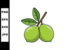 Fresh green lemons with leaves on branch vector illustration Product Image 1