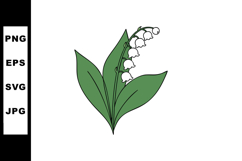 Lily of the Valley Plant with Green Leaves and White Flowers Product Image 1
