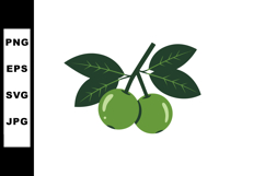 Green Olive Branch with Two Olives and Leaves Vector Illustr Product Image 1