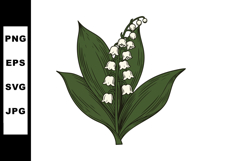 Lily of the valley flower with green leaves botanical vector Product Image 1