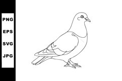 Pigeon bird outline vector illustration in simple black and Product Image 1