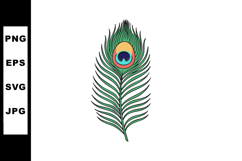 Peacock feather vector illustration with green blue and oran Product Image 1