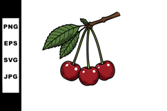 Cherry branch with ripe red cherries and green leaves vector Product Image 1