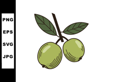 Olive branch with two green olives vector illustration in si Product Image 1