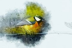 Wading Photography Painting Effect Product Image 4