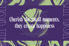 Wafterlic - Modern Display Serif Product Image 3