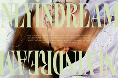 Wafterlic - Modern Display Serif Product Image 4