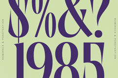 Wafterlic - Modern Display Serif Product Image 5