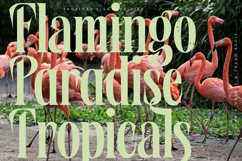 Wafterlic - Modern Display Serif Product Image 10