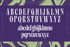 Wafterlic - Modern Display Serif Product Image 17