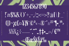 Wafterlic - Modern Display Serif Product Image 18