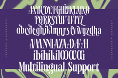 Wafterlic - Modern Display Serif Product Image 19