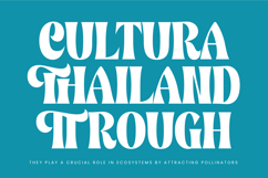 Wajory Musika - Serif Display Product Image 11