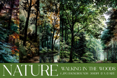 Nature Background, Forest Background, Woods, Hiking, s1 Product Image 1