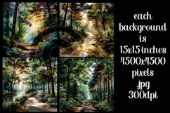 Nature Background, Forest Background, Woods, Hiking, s1 Product Image 2