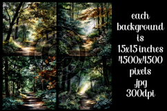 Nature Background, Forest Background, Woods, Hiking, s2 Product Image 2