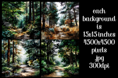 Nature Background, Forest Background, Woods, Hiking, s3 Product Image 2
