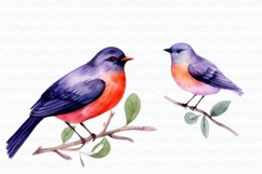 Flowers Birds Watercolor Sublimation Product Image 3