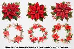 Poinsettia flower Christmas Clipart, Poinsettia sublimation Product Image 3