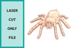Laser cut bundle Halloween wall art glowforge scoring spider Product Image 3